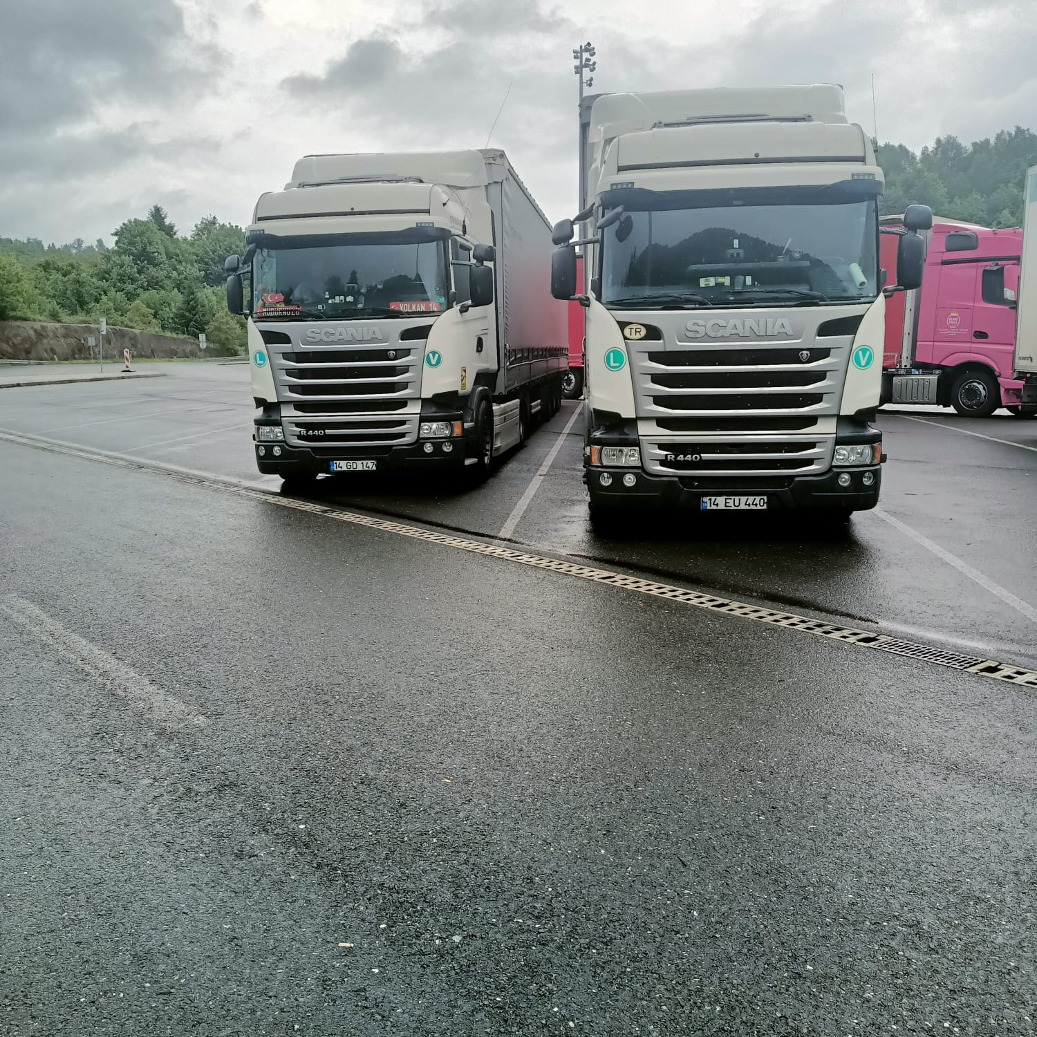 FİRMAMIZDAN KARELER